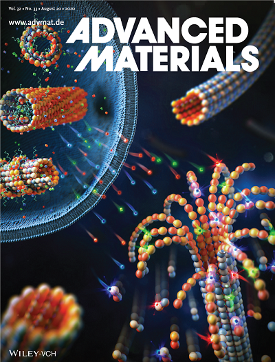 국제학술지 'Advanced Materials' 8월 18일자 Issue 표지 이미지 / 사진=KAIST