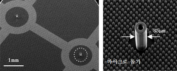 (왼쪽) 폴리머 초미세 노즐 어레이 사진, (오른쪽) (확대 사진) 외경 85μm, 내경 40μm, 높이 150μm의 폴리머 초미세 노즐과 주변의 마이크로 돌기 / 자료이미지=KAIST