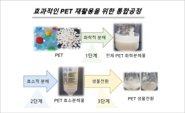 효과적인 PET 재활용을 위한  통합공정 모식도 / 자료이미지=한국연구재단