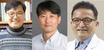 왼쪽부터 김근형 교수, 이상진 교수, 한인보 교수 / 사진=한국연구재단