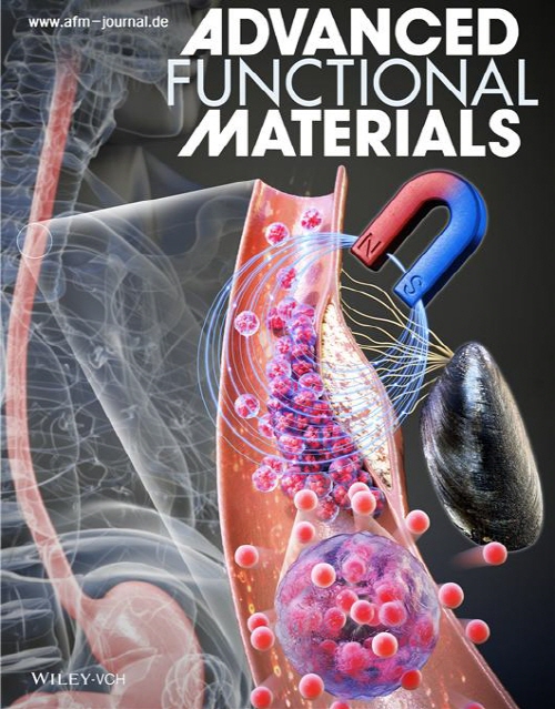 국제학술지 'Advanced Functional Materials'의 표지논문 / 사진=포스텍