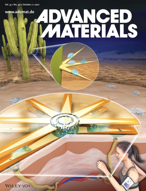 재료분야의 저명 국제학술지 'Advanced Materials' 표지논문으로 선정된 해당 논문 / 이미지=포스텍