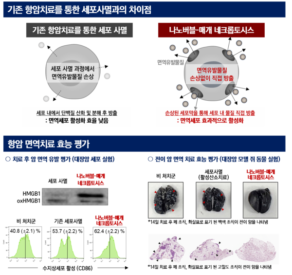 나노버블-매개 네크롭토시스와 기존 항암치료를 통한 세포사멸과의 차이 / 자료이미지=한국연구재단