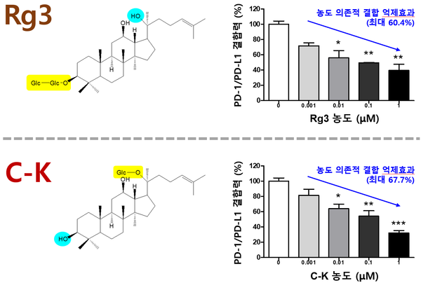인삼사포닌 알지쓰리(Rg3)와 컴파운드 케이 (compound K, C-K)의 면역관문 단백질 PD-1/PD-L1 결합 저해 효과 / 자료이미지=한의학연