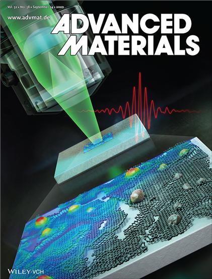 국제학술지 Advanced Materials 속지(inside back cover)에 소개된 연구내용 모식도 / 자료이미지=한국연구재단