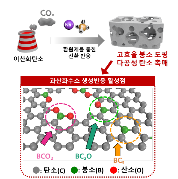 이산화탄소 전환 반응으로 합성된 과산화수소 생성용 고효율 탄소 소재 모식도 / 자료이미지=KIST